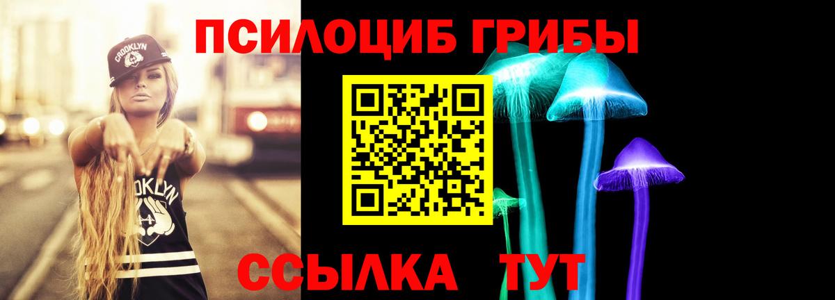Псилоцибиновые грибы Psilocybine cubensis Самара